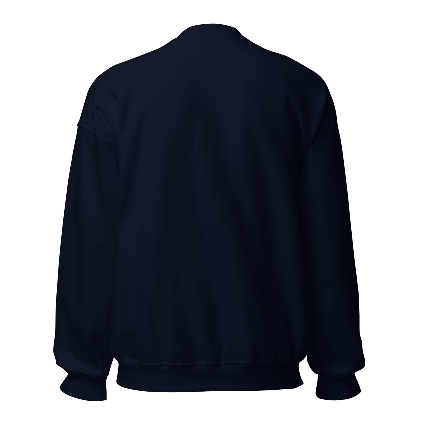 The back view of a unisex navy crew neck classic sweatshirt jumper.