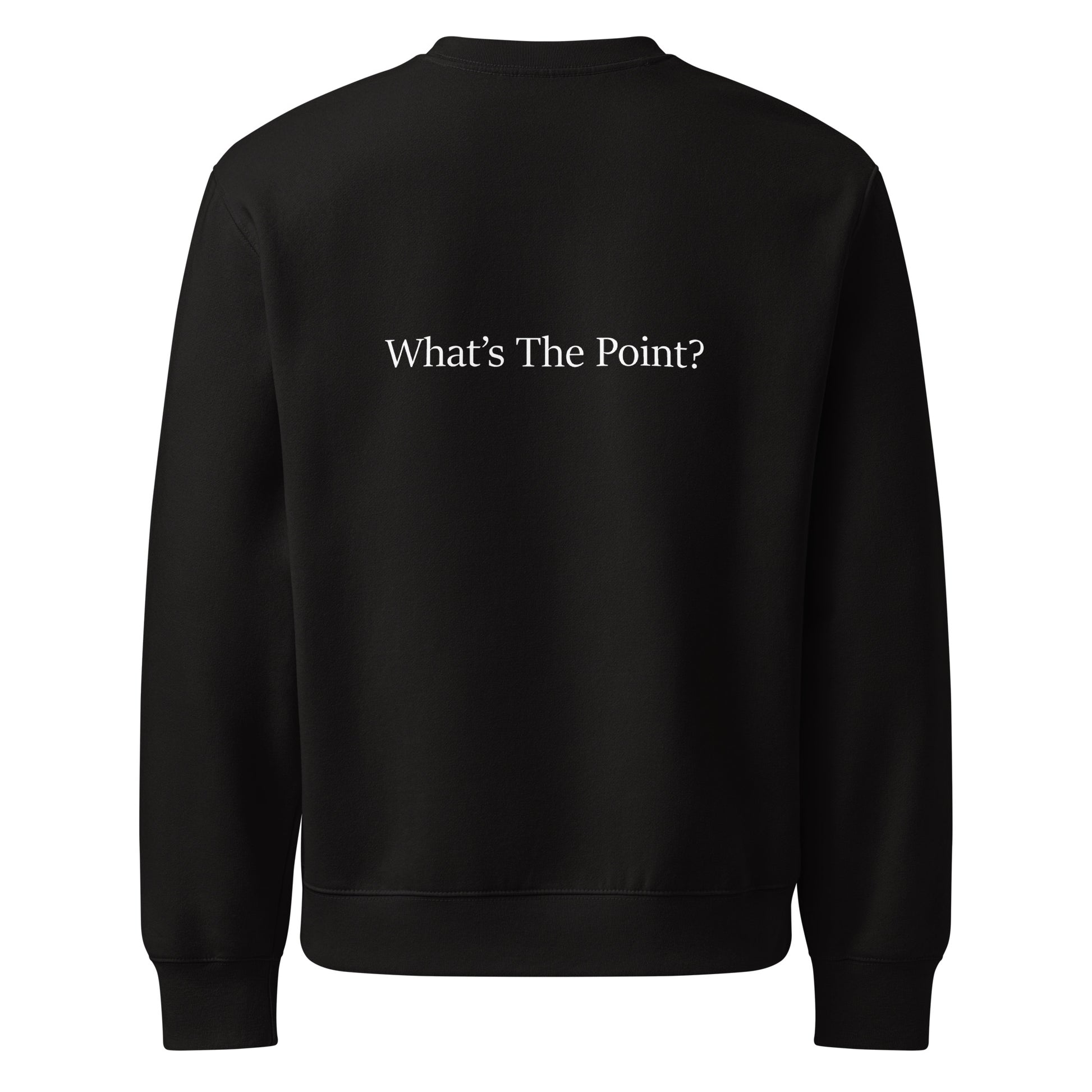 Back view of black oversized heavyweight sweatshirt with “What’s The Point?” typography in white.