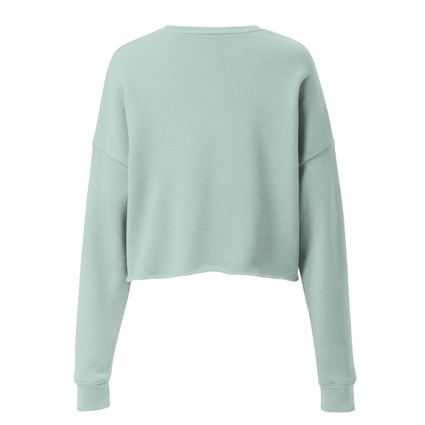 The back view of a woman’s cropped fleece dusty blue sweatshirt jumper.